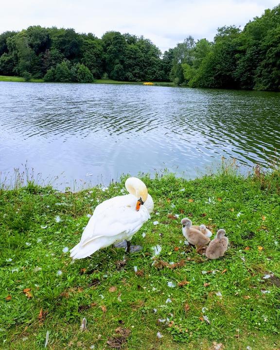 Haus am See